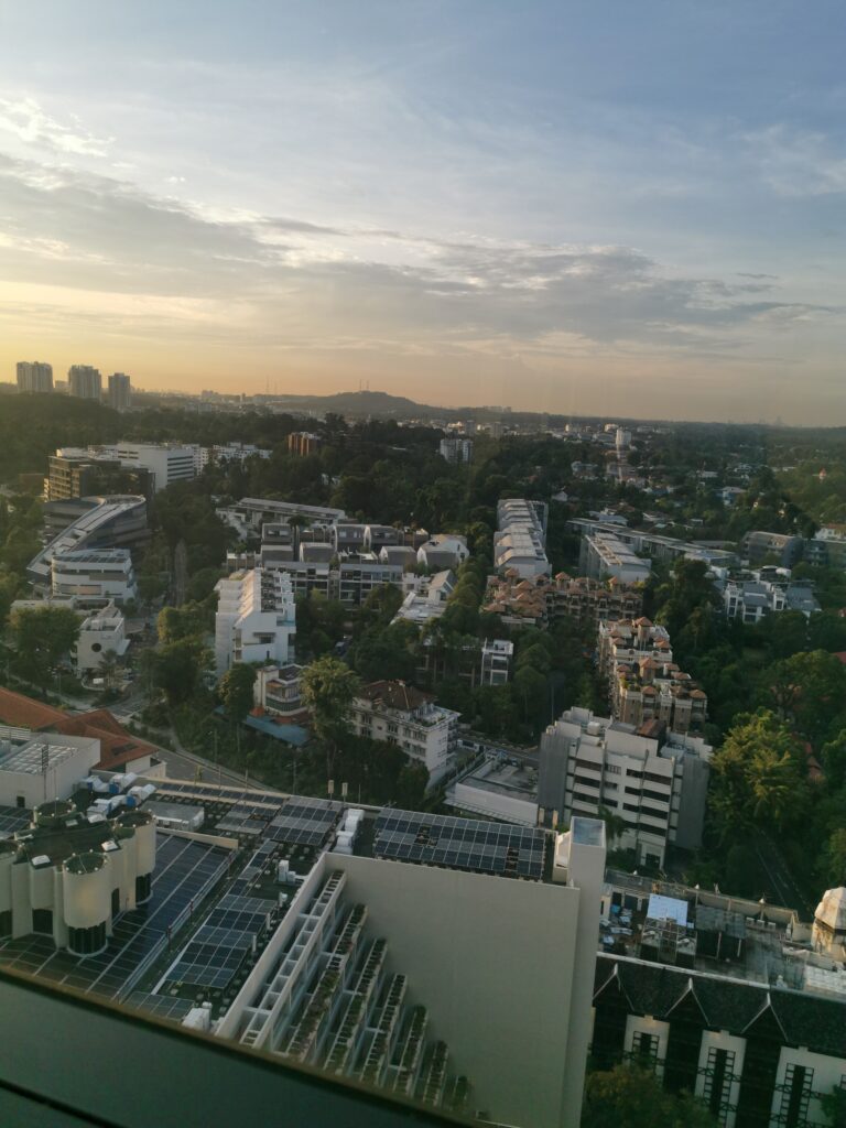 IMG_20241001_183617