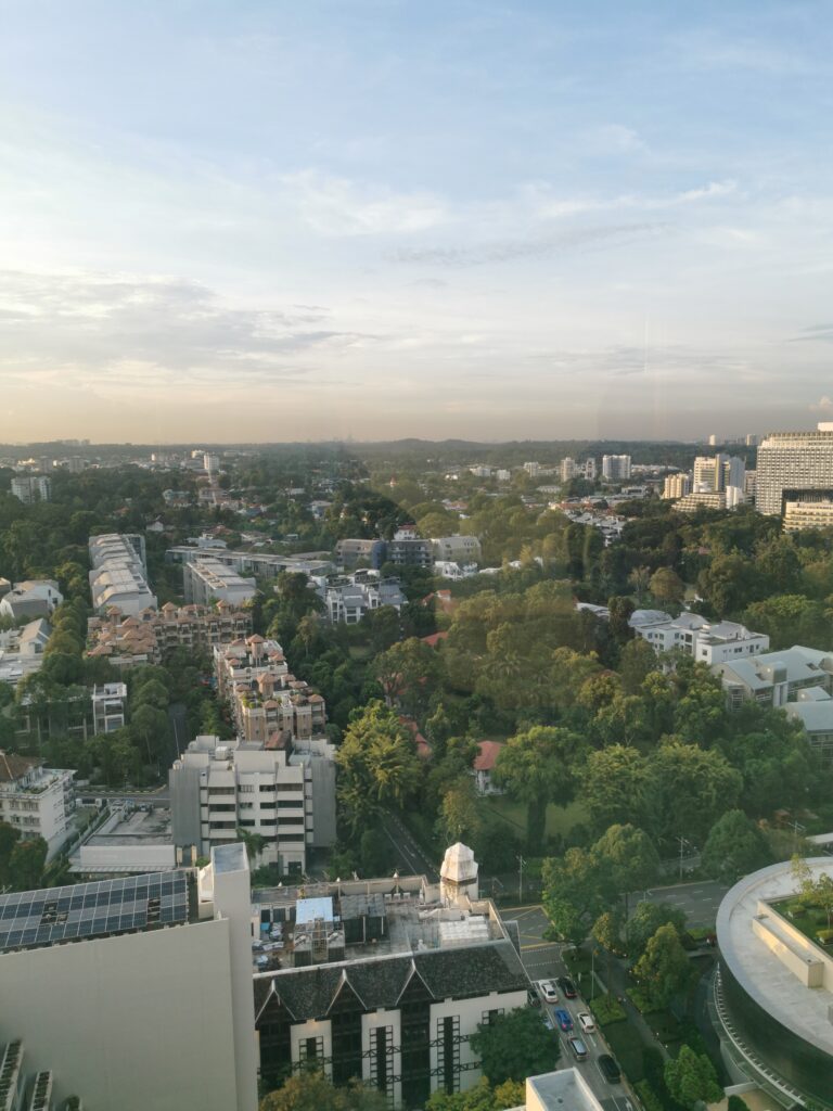 IMG_20241001_183622